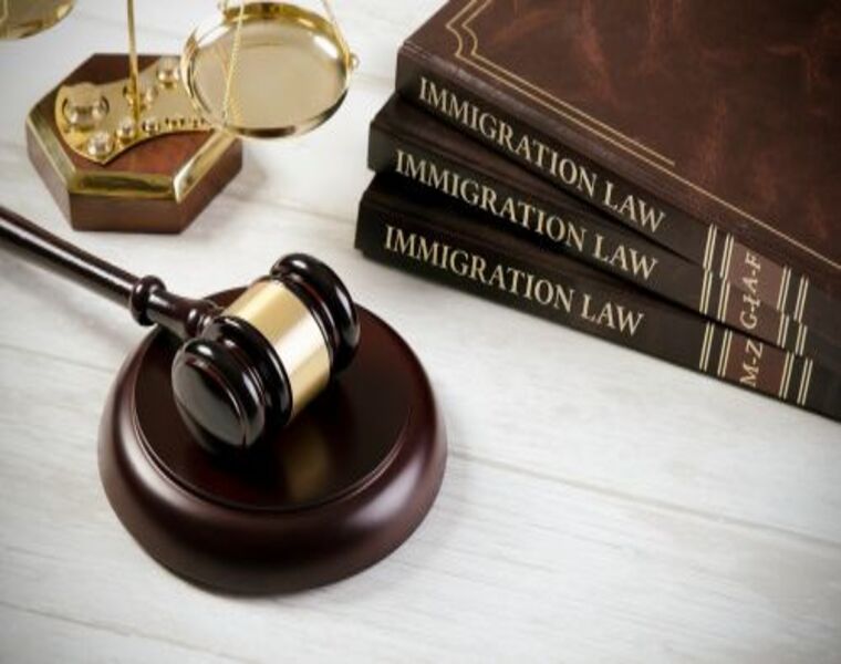 IMMIGRATION & CITIZENSHIP LAW